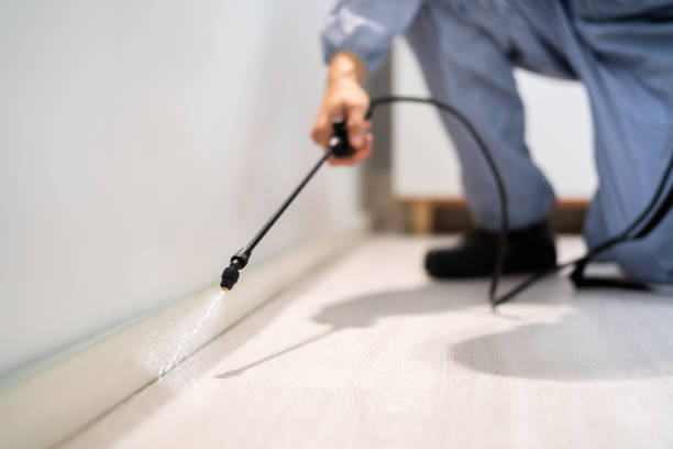 Licensed Termite Control service in San Ramon, CA - Show Me Pest Control