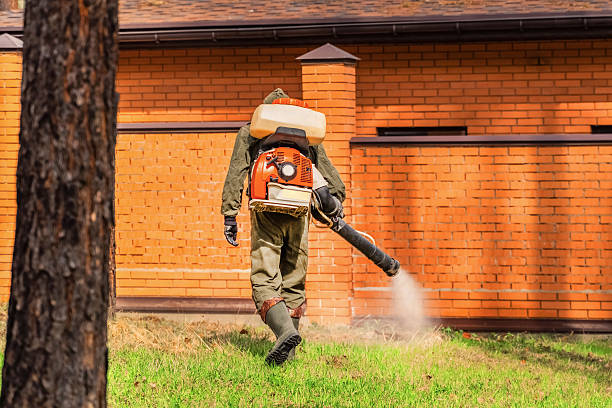 Bed Bug Clearance Verification and Documentation in San Ramon